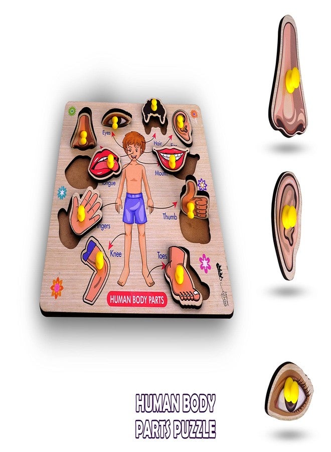 HIGHROOF® Kids Fort Pre Nursery Educational Jigsaw Puzzles for Adults Kids Learning Toys Kit Board Game 4 pcs Set of Flower Birds Human Body Parts & Hindi Letters Educational Toy - Image 5